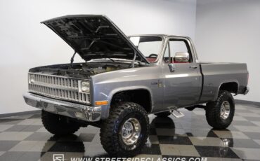 Chevrolet-Other-Pickups-1981-Pickup-Truck-31
