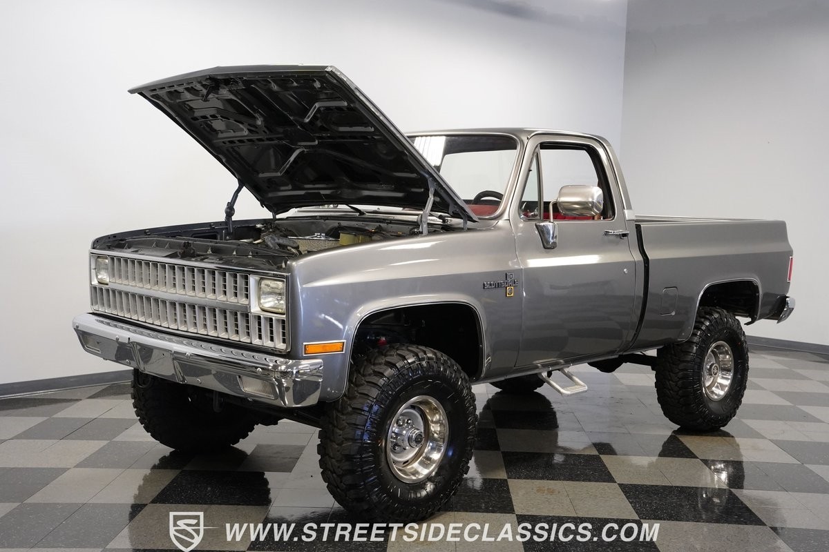 Chevrolet-Other-Pickups-1981-Pickup-Truck-31