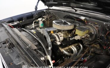 Chevrolet-Other-Pickups-1981-Pickup-Truck-32