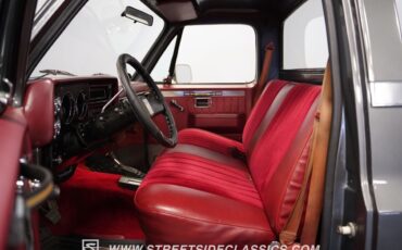 Chevrolet-Other-Pickups-1981-Pickup-Truck-38