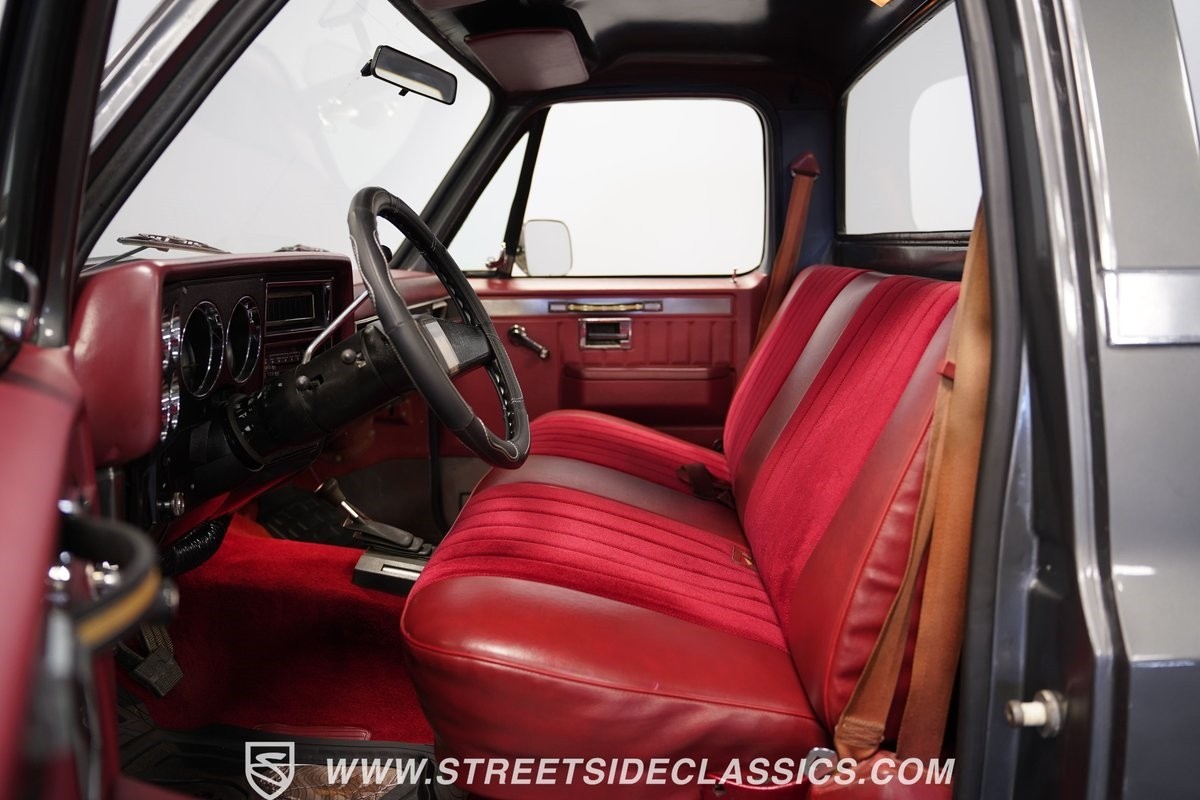 Chevrolet-Other-Pickups-1981-Pickup-Truck-38