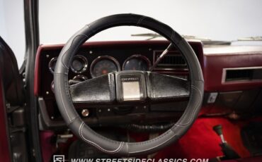 Chevrolet-Other-Pickups-1981-Pickup-Truck-39