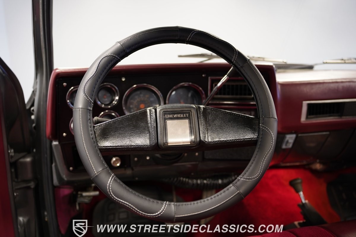 Chevrolet-Other-Pickups-1981-Pickup-Truck-39