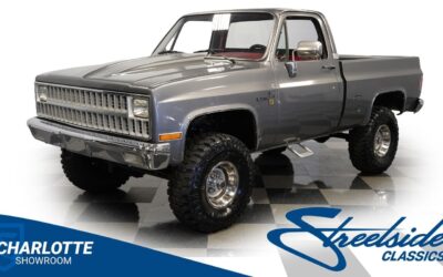 Chevrolet Other Pickups 1981