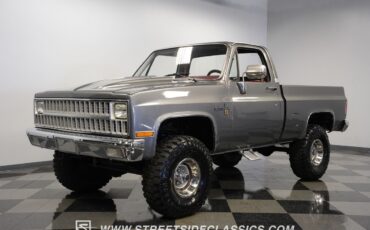 Chevrolet-Other-Pickups-1981-Pickup-Truck-5