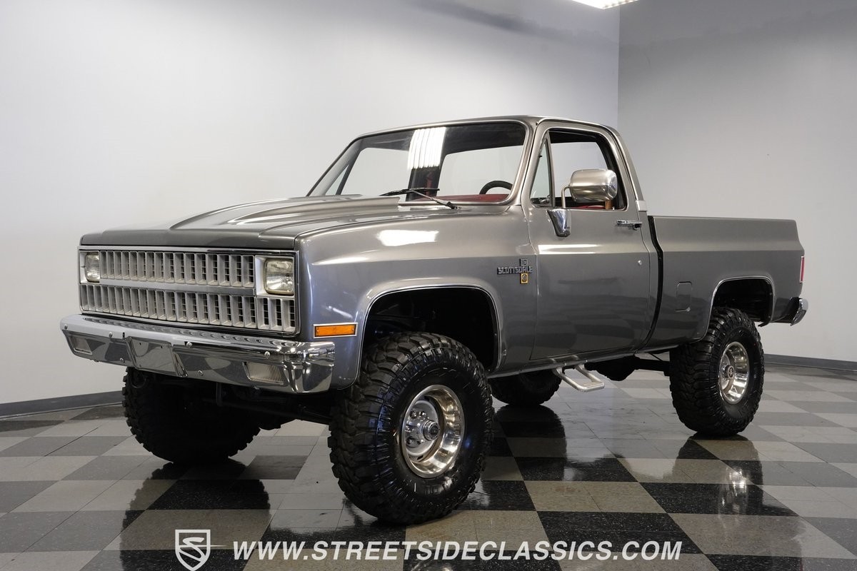 Chevrolet-Other-Pickups-1981-Pickup-Truck-5