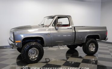 Chevrolet-Other-Pickups-1981-Pickup-Truck-6
