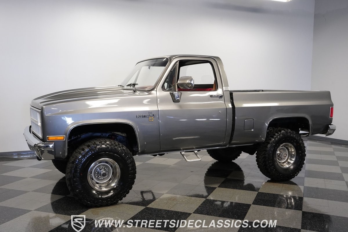 Chevrolet-Other-Pickups-1981-Pickup-Truck-6