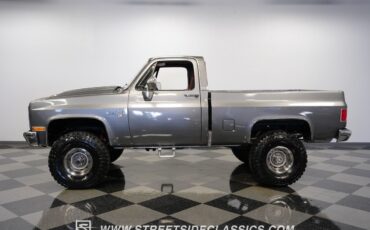 Chevrolet-Other-Pickups-1981-Pickup-Truck-7