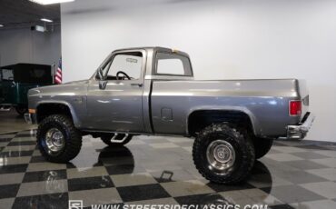 Chevrolet-Other-Pickups-1981-Pickup-Truck-8