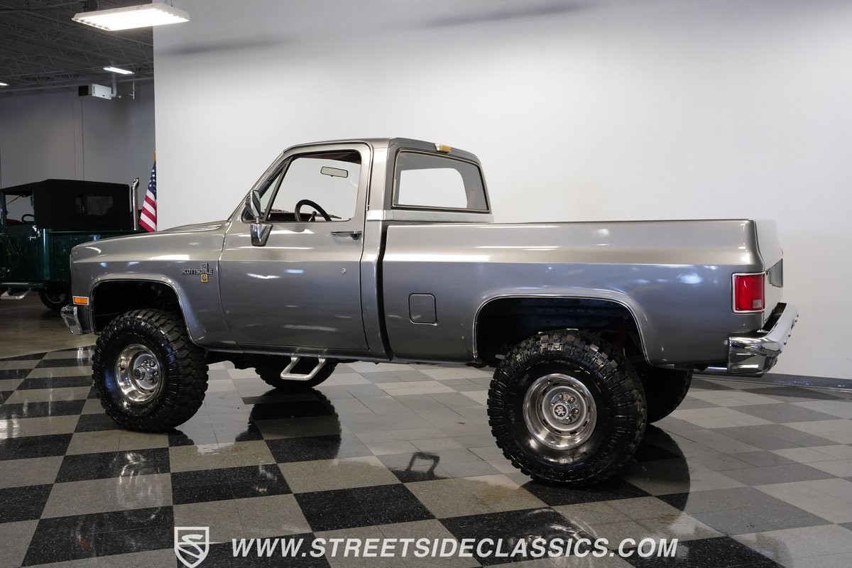 Chevrolet-Other-Pickups-1981-Pickup-Truck-8