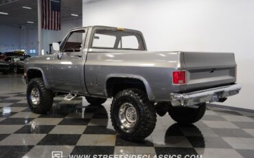 Chevrolet-Other-Pickups-1981-Pickup-Truck-9