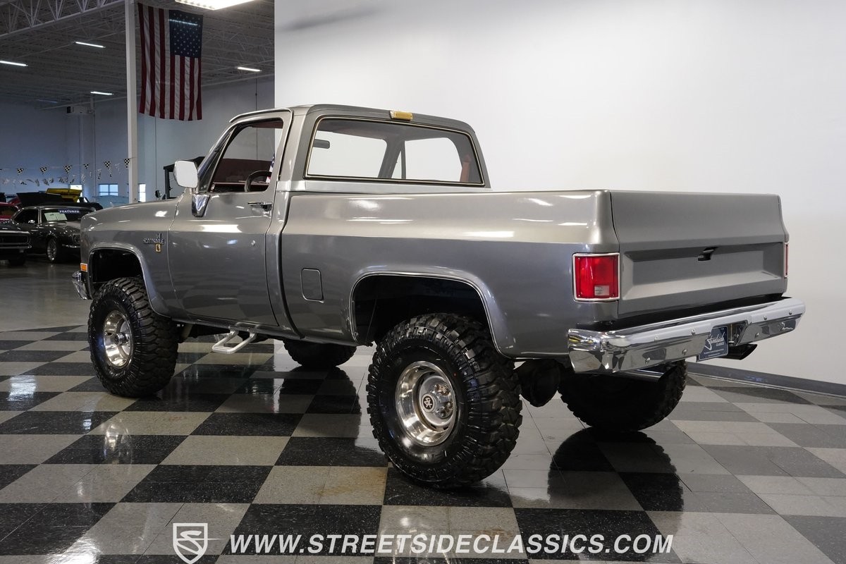 Chevrolet-Other-Pickups-1981-Pickup-Truck-9
