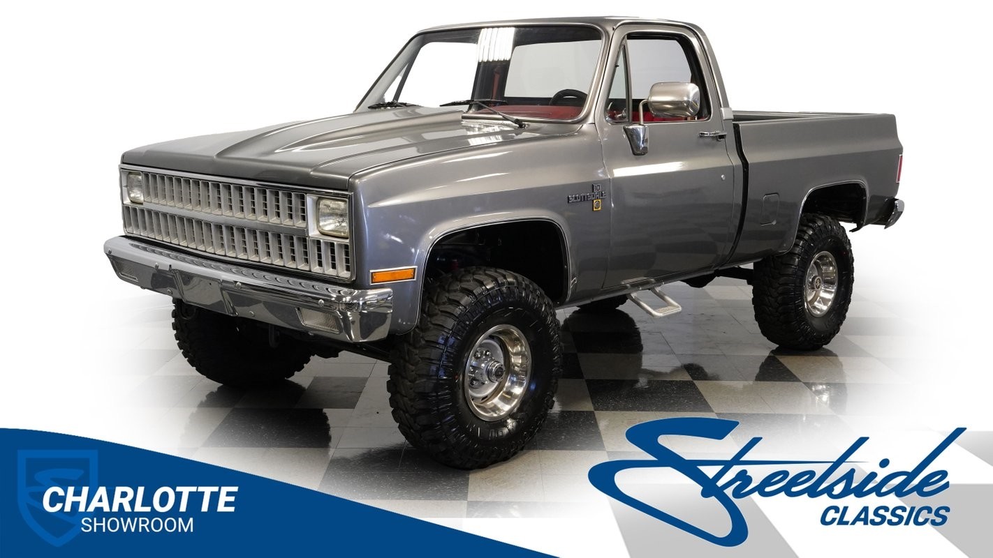 Chevrolet Other Pickups 1981 Pickup Truck