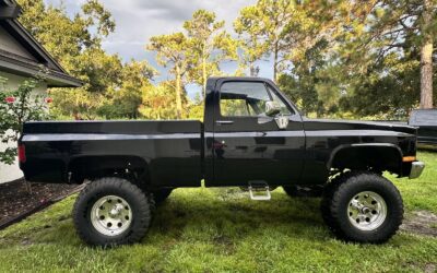 Chevrolet Other Pickups 1985 Standard Cab Pickup