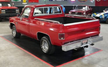 Chevrolet-Other-Pickups-1985-Truck-12