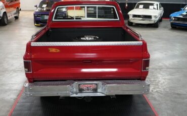 Chevrolet-Other-Pickups-1985-Truck-13