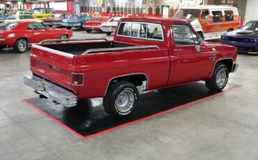 Chevrolet-Other-Pickups-1985-Truck-14