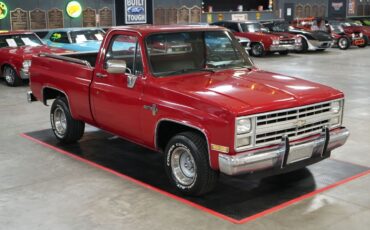 Chevrolet-Other-Pickups-1985-Truck-16