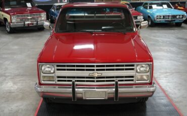 Chevrolet-Other-Pickups-1985-Truck-17