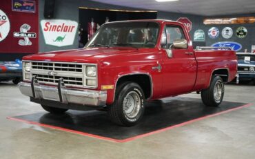 Chevrolet-Other-Pickups-1985-Truck-18