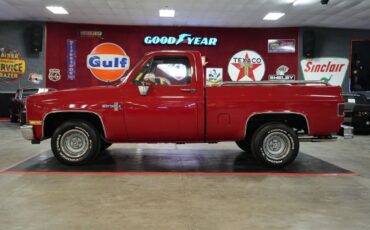 Chevrolet-Other-Pickups-1985-Truck-19