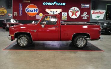 Chevrolet-Other-Pickups-1985-Truck-2