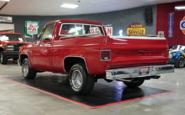 Chevrolet-Other-Pickups-1985-Truck-20
