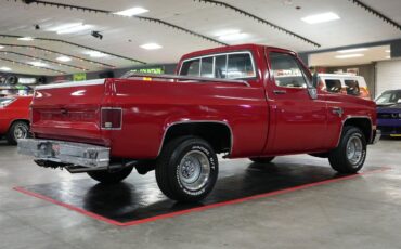 Chevrolet-Other-Pickups-1985-Truck-22