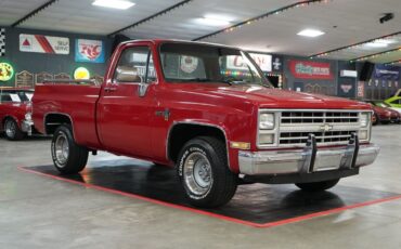 Chevrolet-Other-Pickups-1985-Truck-24
