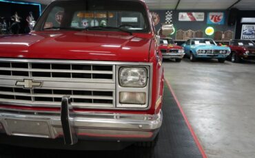 Chevrolet-Other-Pickups-1985-Truck-27