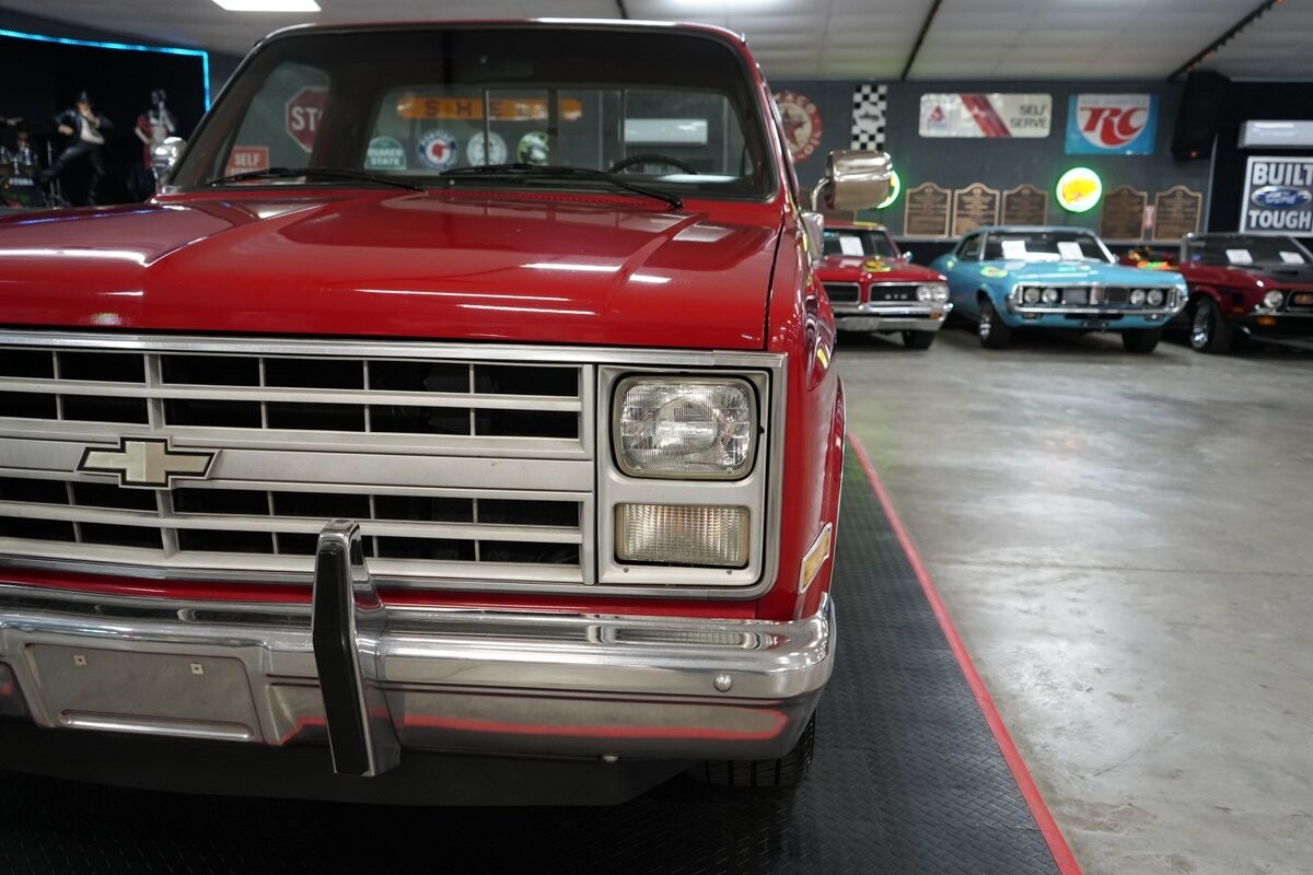 Chevrolet-Other-Pickups-1985-Truck-27