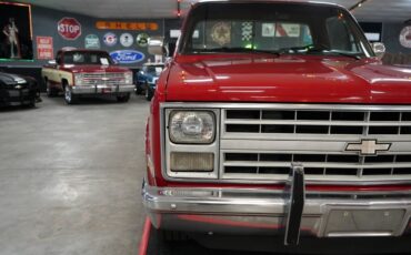 Chevrolet-Other-Pickups-1985-Truck-28