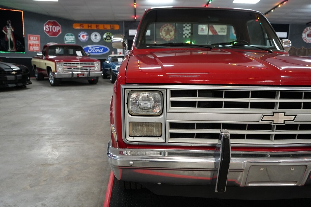 Chevrolet-Other-Pickups-1985-Truck-28