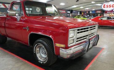 Chevrolet-Other-Pickups-1985-Truck-29