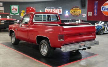 Chevrolet-Other-Pickups-1985-Truck-3