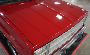 Chevrolet-Other-Pickups-1985-Truck-30