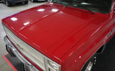 Chevrolet-Other-Pickups-1985-Truck-31