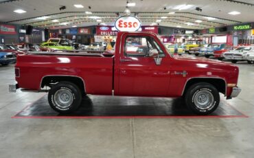 Chevrolet-Other-Pickups-1985-Truck-6