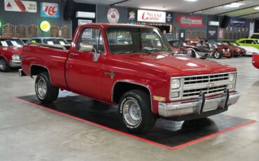 Chevrolet-Other-Pickups-1985-Truck-7