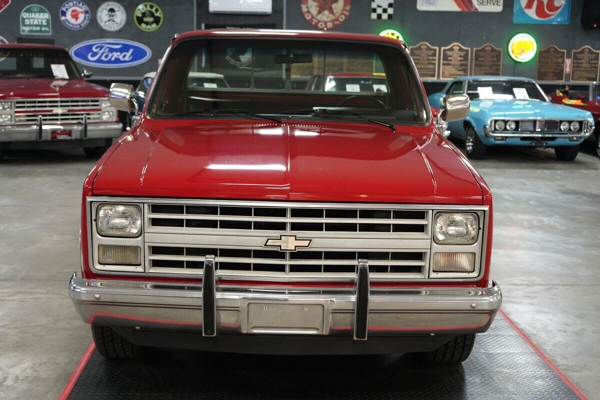 Chevrolet-Other-Pickups-1985-Truck-8