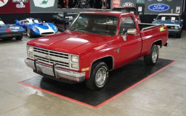 Chevrolet-Other-Pickups-1985-Truck-9