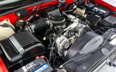 Chevrolet-Other-Pickups-1996-Pickup-Truck-12