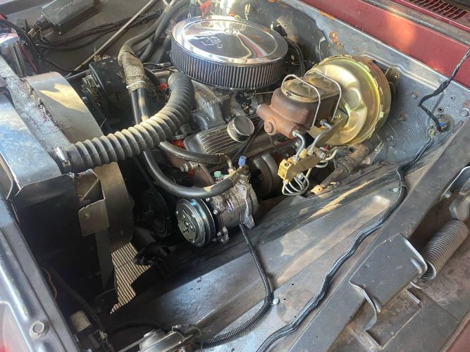 Chevrolet-Pickup-1965-Custom-2