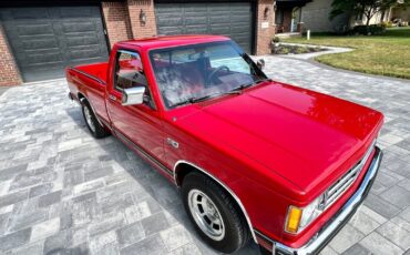 Chevrolet-S-10-1988-Pickup-Truck-10