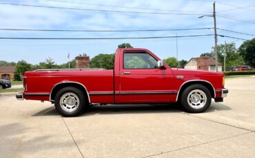 Chevrolet-S-10-1988-Pickup-Truck-14