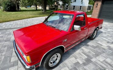 Chevrolet-S-10-1988-Pickup-Truck-9