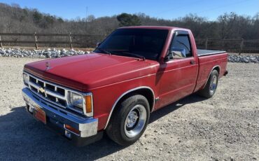Chevrolet-S-10-pickup-1993-Red-Grey-5