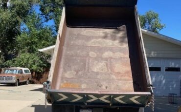 Chevrolet-Series-c-1969-Green-Green-1