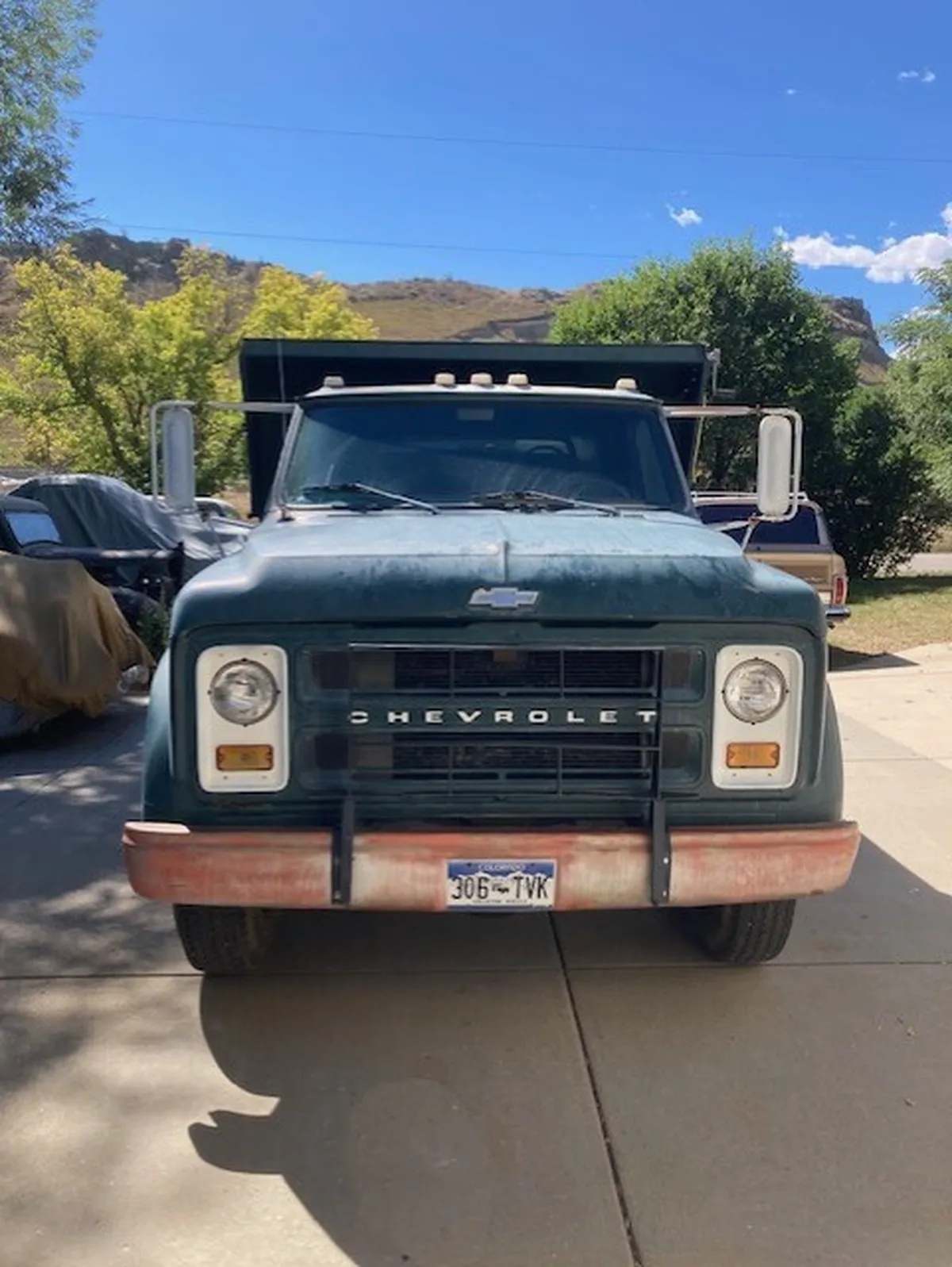 Chevrolet-Series-c-1969-Green-Green-3